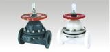 Diaphragm Valve