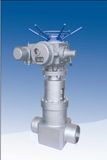 Forged Globe/Gate Valves