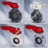 Butterfly Valve