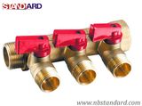 Manifold Valve