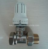 Dn25 Thermostatic Radiator Valve (BYL-6610)