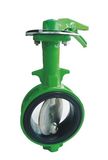 Butterfly Valve (D71X)