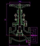 Globe Valve