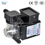 Swimming Pool Dosing Pump Sterilizing Equipment Chlorine Feeder