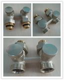 1/2''*3/4'' Straight Brass H Radiator Valve Byl-6522