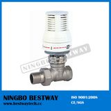 Brass Thermostatic Radiator Valve (BW-R04)