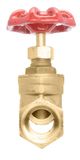 NPT Brass Gate Valve