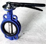 Large Diameter Lug Type Butterfly Valve