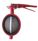 Car Iron Lug Wafer Type Butterfly Valve