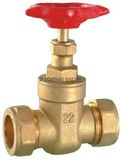 Brass Gate Valve (JC-2012)