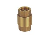 Check Valve (FS-E3101)