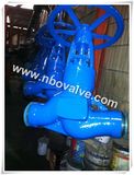 Indonisa Market Bw Forged Globe Valve (80mm)