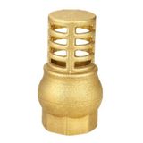 Brass Foot Valve (SSF40160)