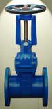 Resilient Seat Gate Valve