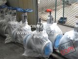 Cast Steel Globe Valve with Plastic Bag