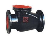 Cast Iron Check Valve (H44H)