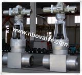 Zero Leakage Stainless Steel Globe Valve (J61Y)