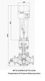 Wy12-3.8/400-0.8/170-4.2/40 Temperature & Pressure Reducing Valve