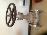 API Extended Bonnet Globe Valve