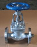 300LB Stainless Steel Globe Valve (J41W)