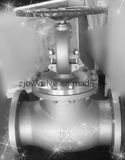 Globe Valve