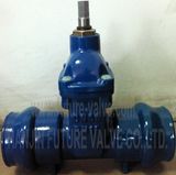 DIN PN16 DN65 Non-Ring Stem Resilient Seated Gate Valve Socket End (Z45X-16)