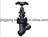 Y Pattern Globe Valve