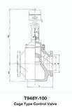 T948y-100 Cage Type Control Valve