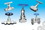 Globe Valve for Measurement Tube