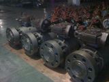 Forged Trunnion Ball Valve