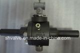 Forged Steel Full Bore Floating Sw Full Welded Ball Valve