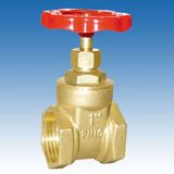 Gate Valve (GS010)