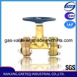 Best Seller QJT200-25 Brass Gas Shutoff Valve with Flangeds