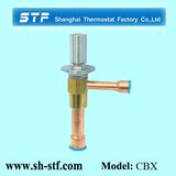 Discharge Pressure Valve