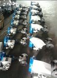 Pneumatic Control Valve with Bellows Seal Bonnet