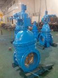 Screw Down Hydraulic Gate Valve (F5)