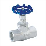 American Type Stainless Steel Femal Globe Valve