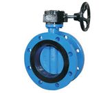 Concentric Butterfly Valve