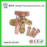 Sm Thermostatic Expansion Valve for Refrigerator