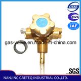 CTF-X8 Safety Manual CNG Cylinder Valve for Vehicle (20MPa)