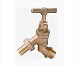 Brass Check Valve