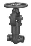 Forged Steel Globe Valve