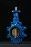 Lug Butterfly Valve (D71X-10/16)