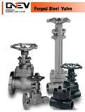 API Forged Flange / Sw / NPT Globe Valves (J41H)