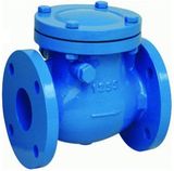 Cast Iron Check Valve