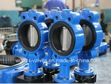 150# Nodular Cast Iron Semi Lug Butterfly Valve (D71X-150LB-ZB1)