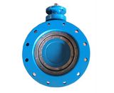 Double Offset Butterfly Valve