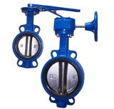 Cast Iron Wafer Butterfly Valve Manufacturer