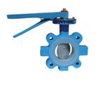 ANSI Butterfly Valve