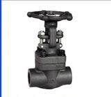 Forged Steel Welded Bonnet Globe Valve